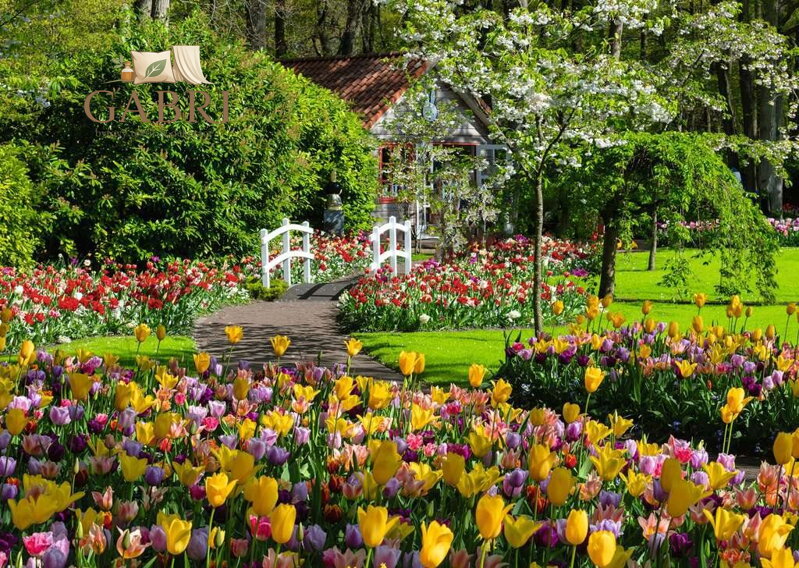 RAVENSBURGER Puzzle Kouzelné zahrady: Zahrada Evropy Keukenhof, Nizozemsko 1000 dílků