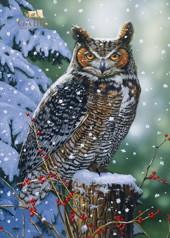 ALIPSON Puzzle Tichý pozorovatel 500 dílků