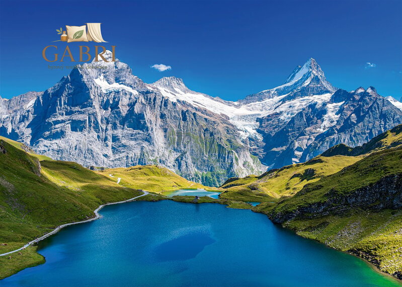 ALIPSON Puzzle Jezero Bachalpsee, Alpy 1000 dílků