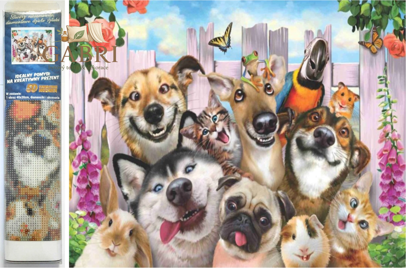 NORIMPEX Diamantové malování  Bláznivá selfie 30x40cm