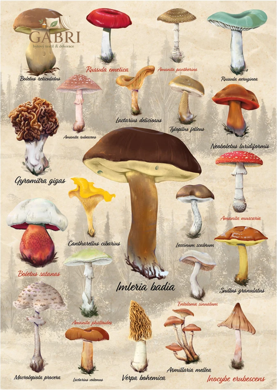 DINO Puzzle Houby koláž 1000 dílků