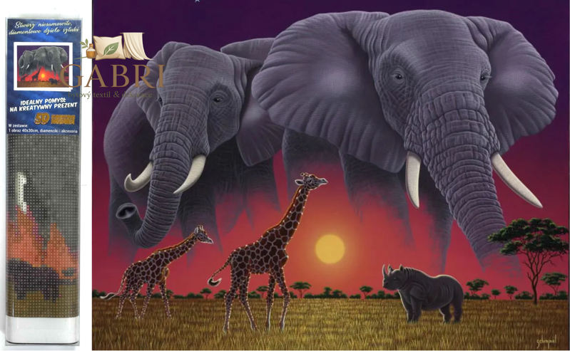 NORIMPEX Diamantové malování Sloni na savaně 30x40cm