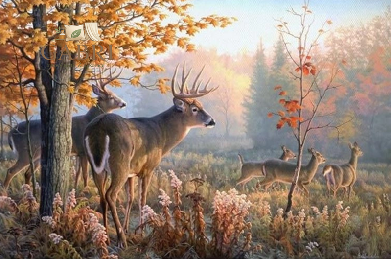 NORIMPEX Diamantové malování Jeleni v ranní mlze 30x40cm