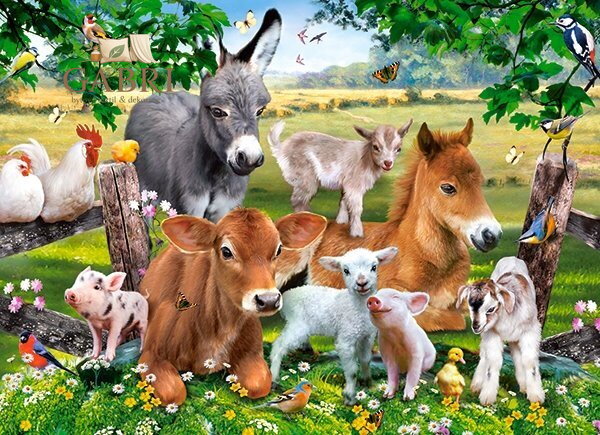 NORIMPEX Diamantové malování Zvířátka ze statku 30x40cm