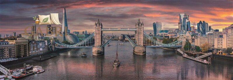 CLEMENTONI Panoramatické puzzle Přes řeku 1000 dílků