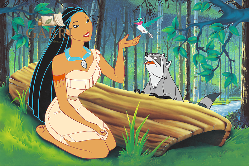 TREFL Puzzle Disney: Pocahontas 600 dílků