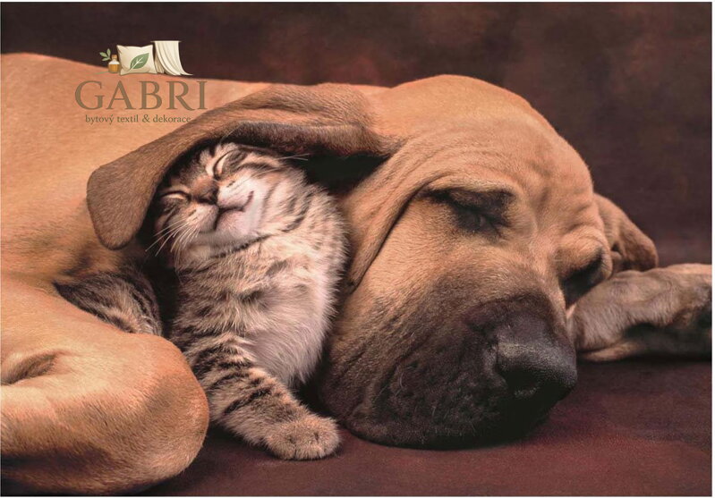 CLEMENTONI Puzzle Mazlení 500 dílků