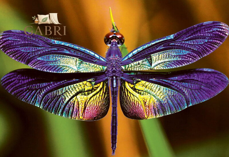 INTERDRUK Puzzle Colorful Nature: Vážka 250 dílků