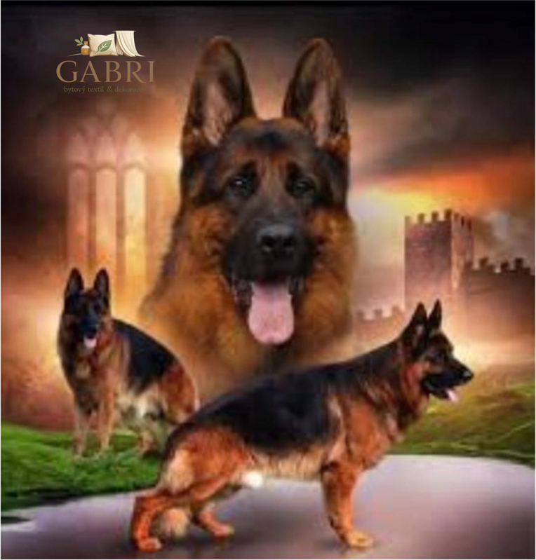 NORIMPEX Diamantové malování Smečka německých ovčáků 30x40cm