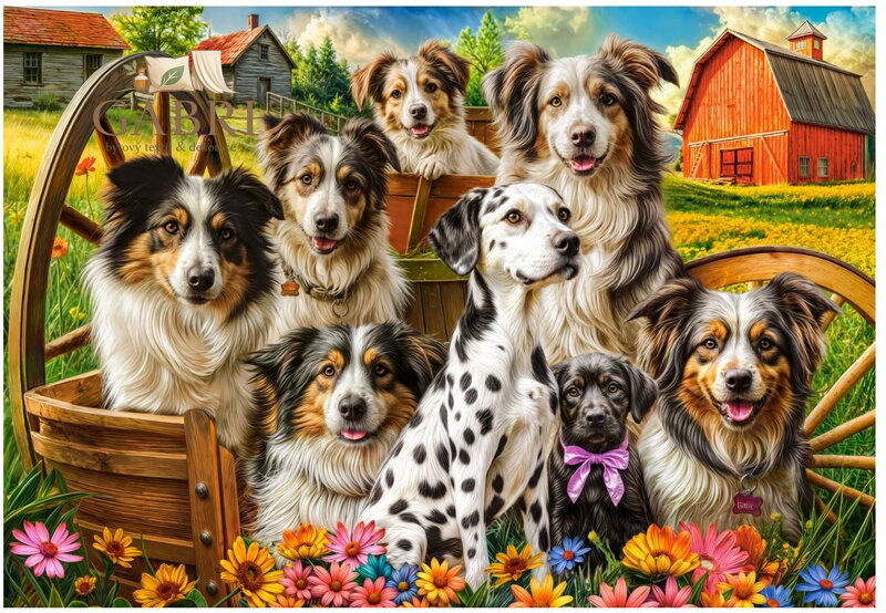 CASTORLAND Puzzle Šťastní psi na venkově 1000 dílků