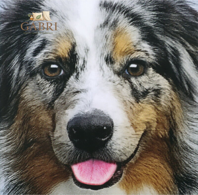 CURIOSI Čtvercové puzzle Q Animal: Pes 66 dílků