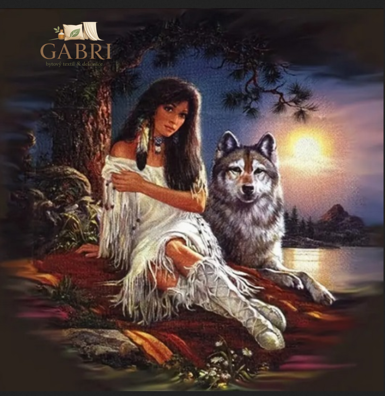 NORIMPEX Diamantové malování Indiánka s vlkem 30x40cm