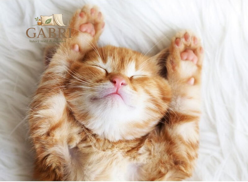 RAVENSBURGER Puzzle Spící chlupáček 500 dílků