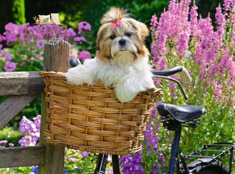 RAVENSBURGER Puzzle Roztomilý pejsek XL 100 dílků