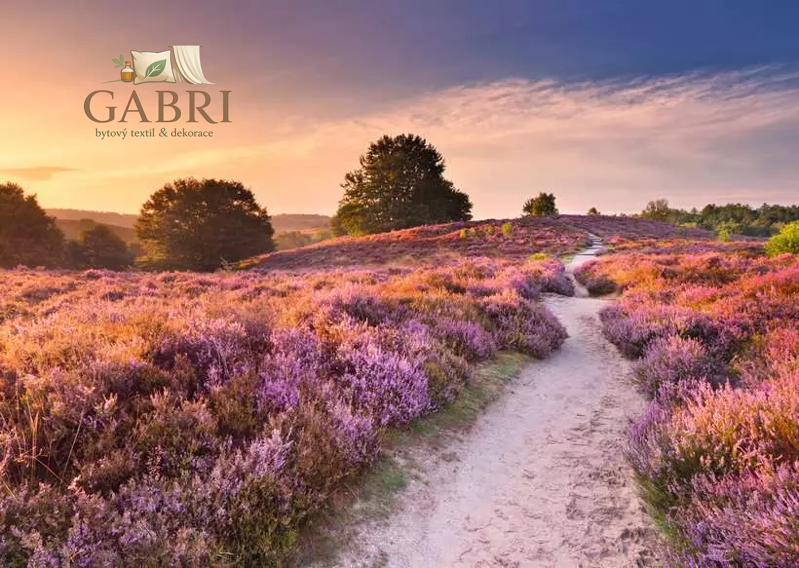 RAVENSBURGER Puzzle Růžová cesta 1000 dílků