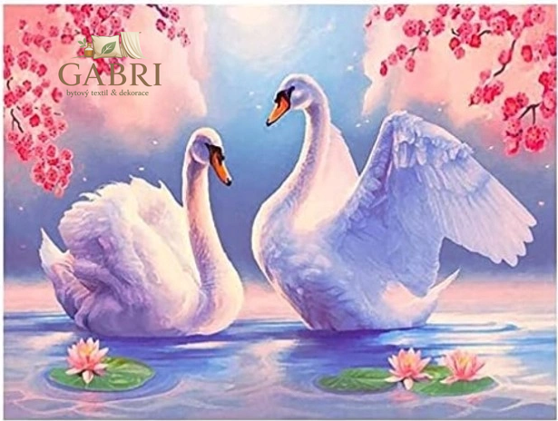 NORIMPEX Diamantové malování Labutě mezi liliemi 30x40cm