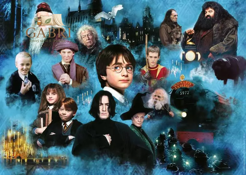 RAVENSBURGER Puzzle Harry Potter: Svět kouzel 1000 dílků