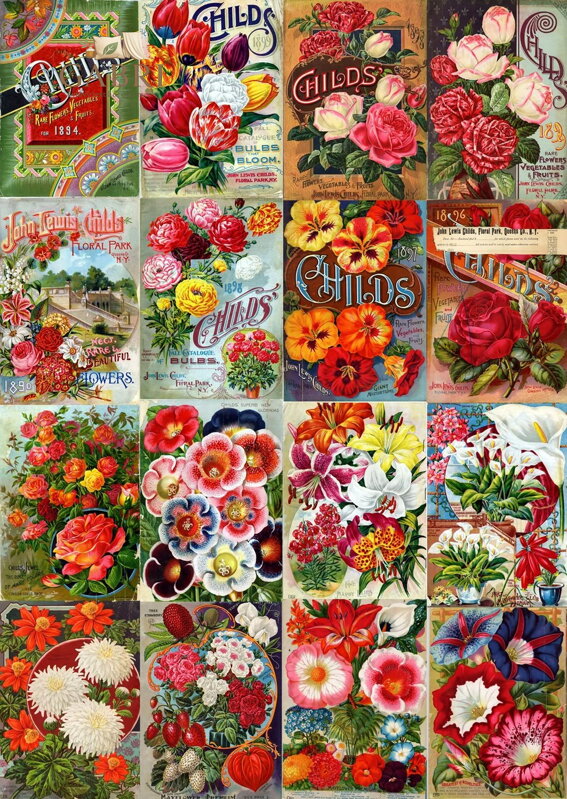 ENJOY Puzzle Vintage katalog květinových semen 1000 dílků