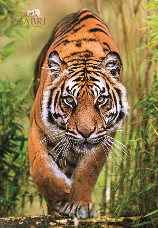 CLEMENTONI Puzzle Lovecká stezka 1000 dílků