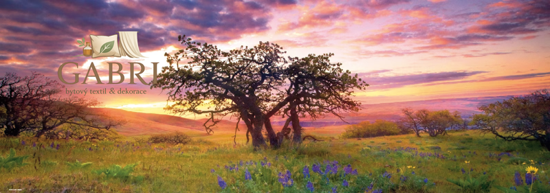 HEYE Panoramatické puzzle Dub, Columbia Hills State Park 2000 dílků