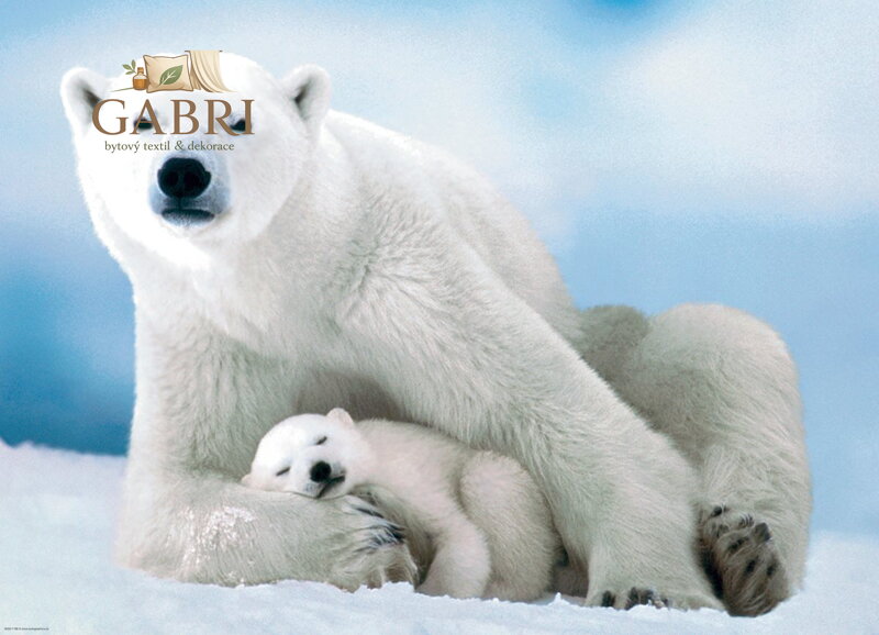 EUROGRAPHICS Puzzle Lední medvěd s mládětem 1000 dílků