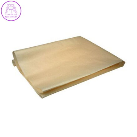 Pergamenová náhrada