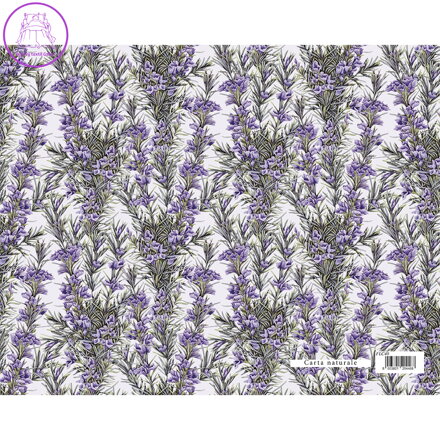 Dárkový balicí papír FLORENTIA 70x100 cm - rozmarýn