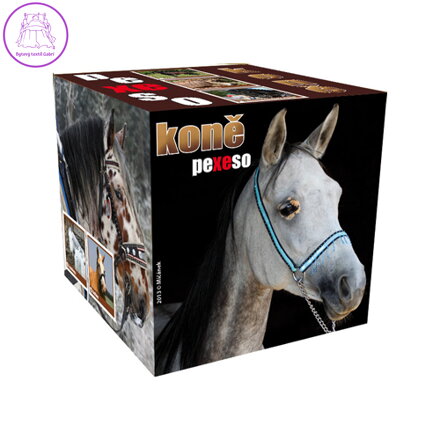 Pexeso Box Koně