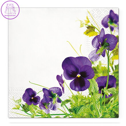 Obrúsky TaT 33x33cm Pansies Frame