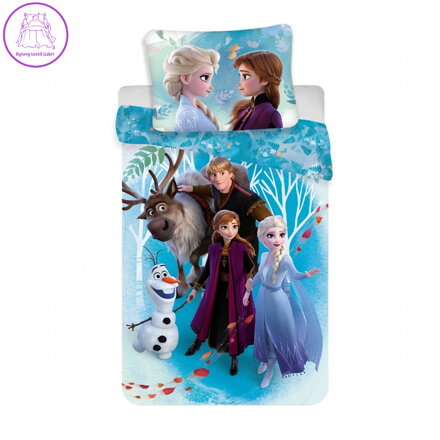Jerry Fabrics Povlečení Frozen 2 family 140x200, 70x90 cm