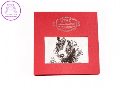 ETEX s.r.o. Kapesník L35 dárková krabička Pes (1 ks)