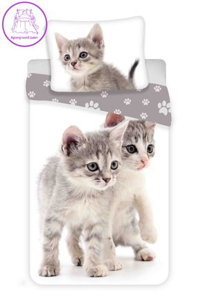 Jerry Fabrics Povlečení fototisk Kitten grey 140x200, 70x90 cm