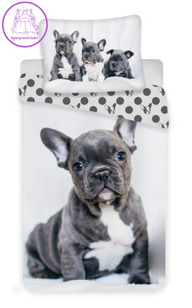 Jerry Fabrics Povlečení fototisk Bulldog 140x200, 70x90 cm
