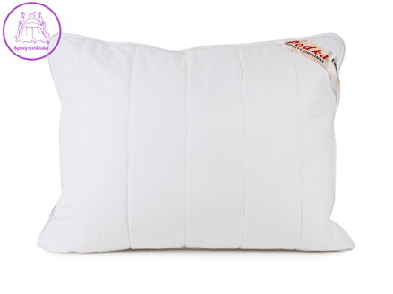 Dadka Polštář SILVER bílá 60x80 cm