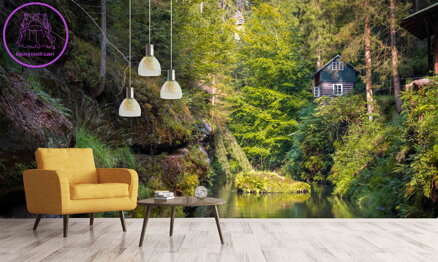 Dětská tapeta Zvířátka