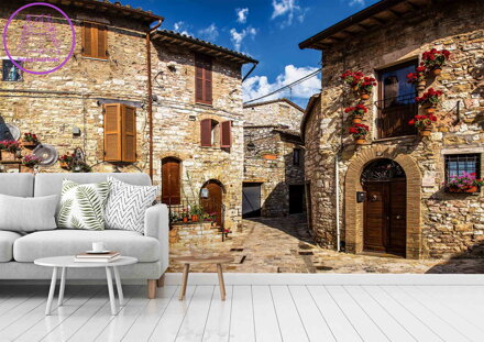 Tapeta Růže barevné