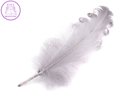 Husí peří kudrnaté délka 12-18 cm