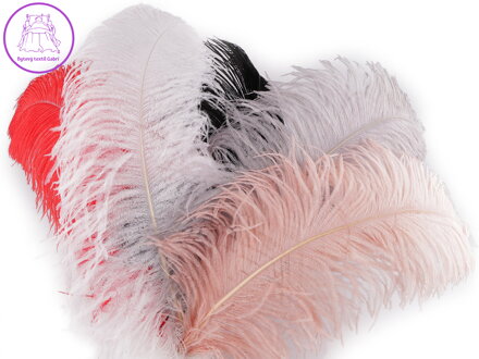 Pštrosí peří délka 50-55 cm
