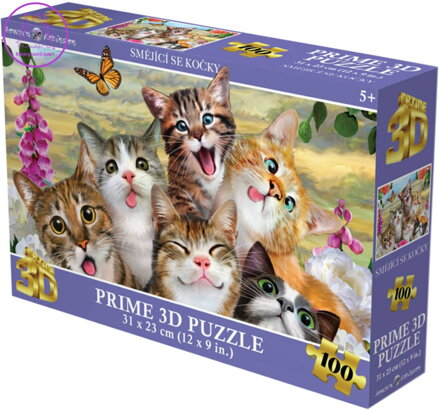 PUZZLE 3D Smějící se kočky 31x23cm 100 dílků skládačka v krabici