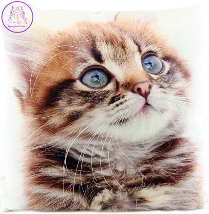 Polštářek zvířátko 33x33cm realistický fotopotisk koťe