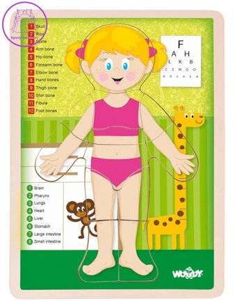 WOODY Oboustranné puzzle Lidské tělo - Dívka (anglicky)
