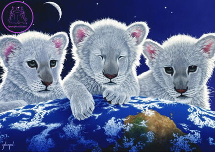 GRAFIKA Puzzle Tajemství, Záhada a Naděje 1500 dílků