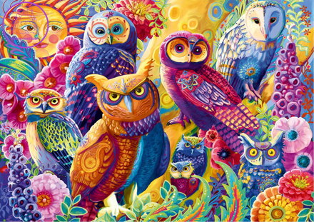 BLUEBIRD Puzzle Soví samospráva 2000 dílků