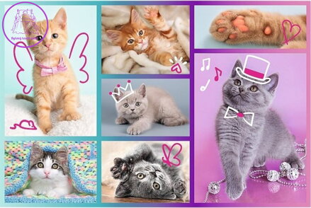 TREFL Puzzle Roztomilá koťátka 60 dílků