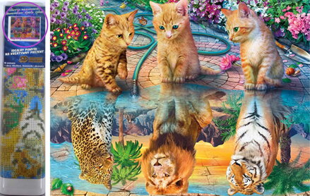 Norimpex Diamantové malování Kočičí sny 30x40cm