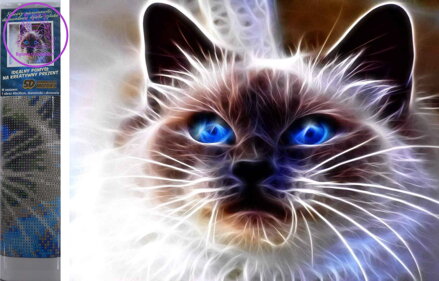 Norimpex Diamantové malování Kočičí magie 30x40cm