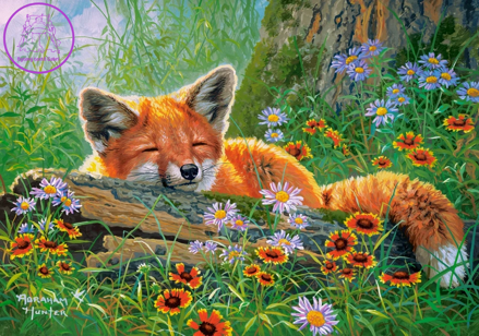 CASTORLAND Puzzle Liščí snění 500 dílků