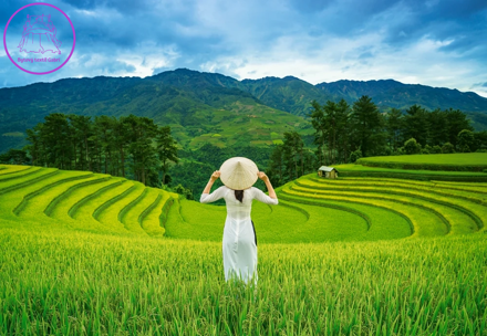 CASTORLAND Puzzle Rýžová pole ve Vietnamu 1000 dílků