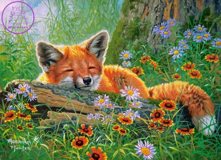 CASTORLAND Puzzle Liščí snění  100 dílků