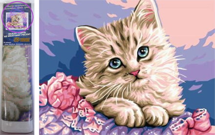 Norimpex Diamantové malování Kočičí pohled 30x40cm